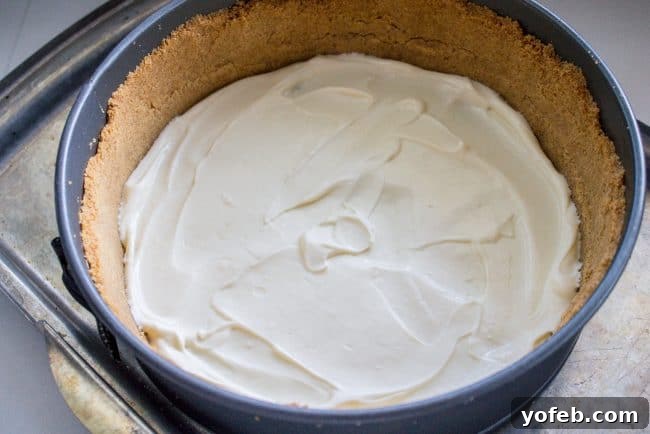 Carefully spreading the creamy vanilla cheesecake layer onto the baked graham cracker crust for the first delicious layer of this pumpkin cheesecake. Smooth vanilla cheesecake batter being spread into a springform pan over a golden graham cracker crust, forming the first layer.