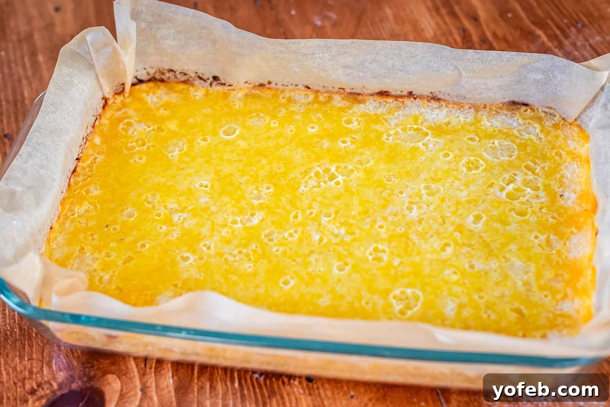 Seriously Zesty Lemon Bars My Absolute Best 18 cooked lemon bars whole in a 9x13 pan lined with parchment paper.