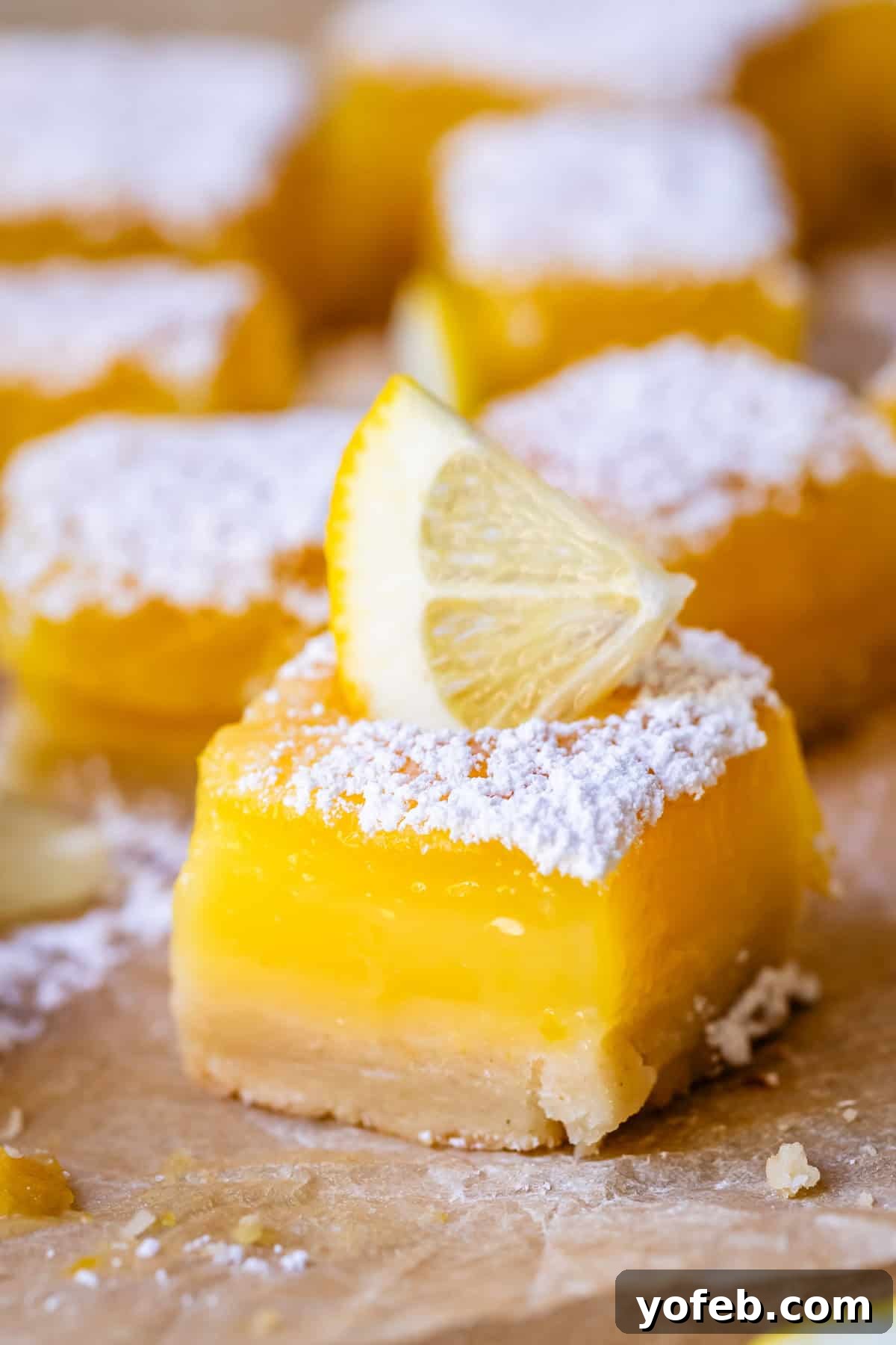 Seriously Zesty Lemon Bars My Absolute Best 19 a lemon bar square dusted with powdered sugar and garnished with lemon.