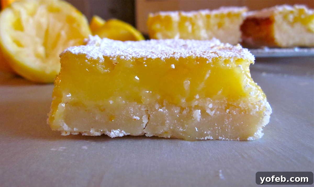 The Best Lemon Squares (w/Gluten Free Option) from The Food Charlatan. This is the BEST recipe for Lemon Squares I have EVER tried! The shortbread crust is thick and tender, and the lemon custard on top is super tart and creamy. You will never go back!! #lemon #bars #lemonsquares #dessert #easy #best #recipe #homemade #glutenfree an old picture of a lemon bar with lemons in the background.