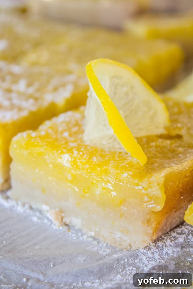 Seriously Zesty Lemon Bars My Absolute Best 20 lemon squares with thick shortbread crust, dusted with powdered sugar.