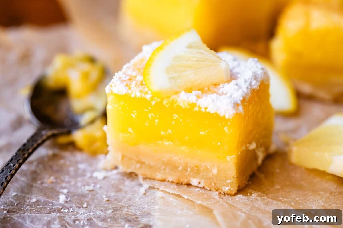 Seriously Zesty Lemon Bars My Absolute Best 6 close up of a perfectly cut lemon square, topped with powdered sugar and lemon.