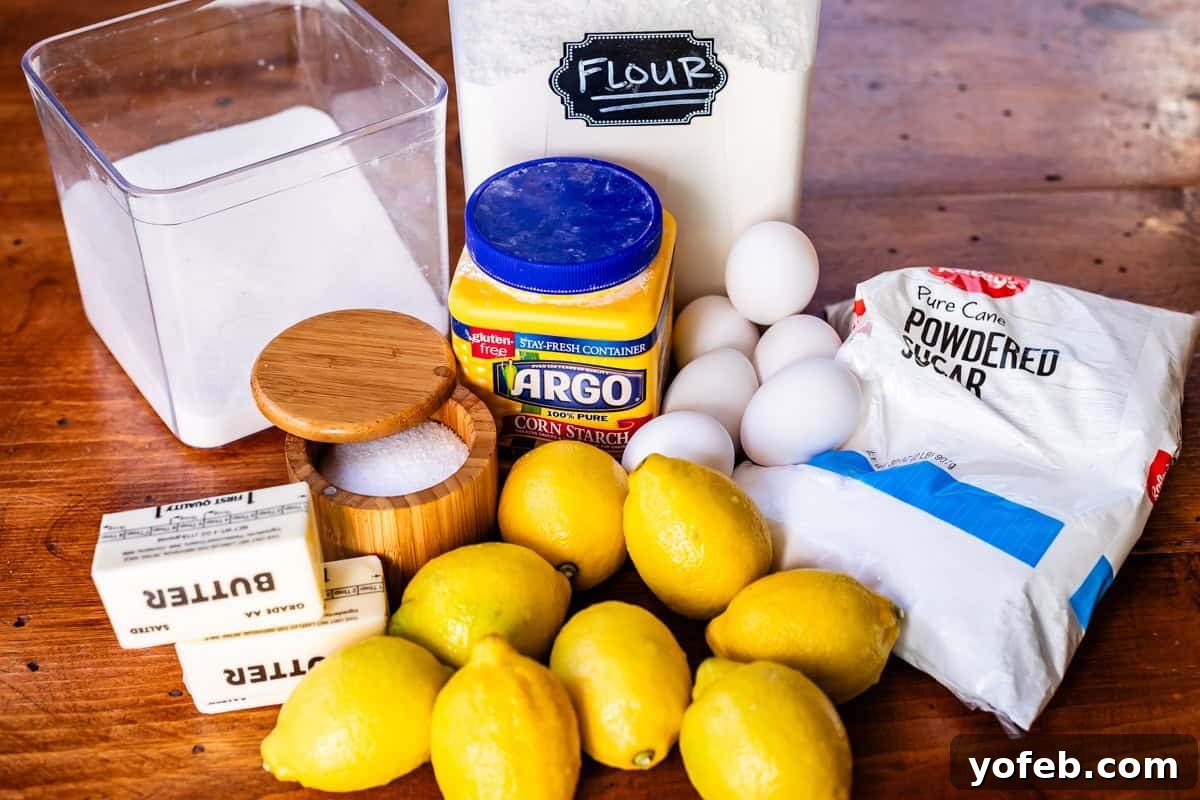 Seriously Zesty Lemon Bars My Absolute Best 8 ingredients for lemon bars like lemons, powdered sugar, eggs, flour, and more.