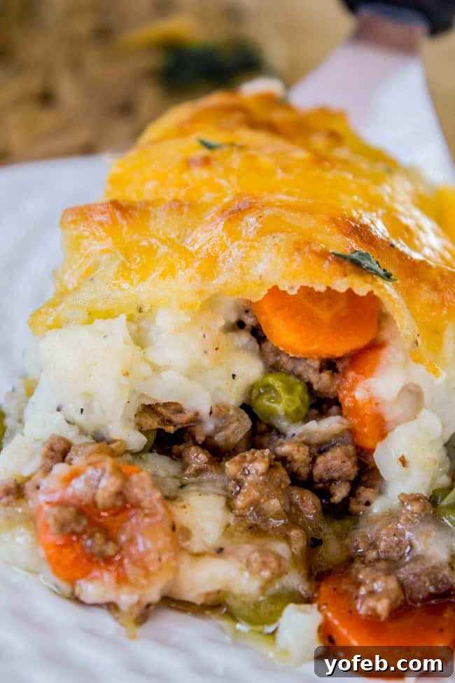 Ultimate Cheesy Shepherds Pie 2 shepherd's pie with cheese on top on a white plate, ready to be served.