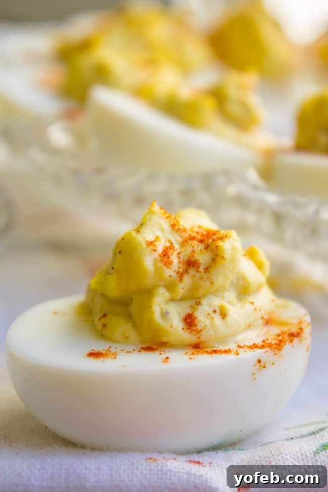 Timeless Deviled Eggs 4 A close-up shot of a classic deviled egg, beautifully piped and sprinkled with paprika, waiting to be enjoyed.