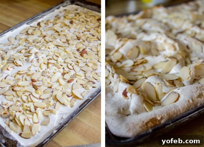 Strawberry Pineapple Meringue Dream Cake 7 Meringue cake with almonds ready for baking