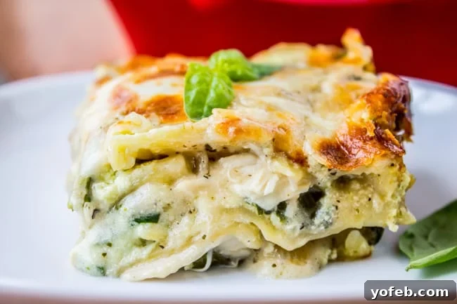 Creamy Chicken Pesto Lasagna 11 The individual ingredients for White Lasagna with Chicken and Pesto laid out
