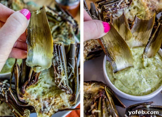 Garlic-Kissed Roasted Artichokes with Zesty Pesto 16 Dipping an artichoke leaf in pesto mayonnaise