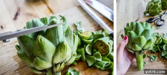 Garlic-Kissed Roasted Artichokes with Zesty Pesto 8 Artichoke thorns