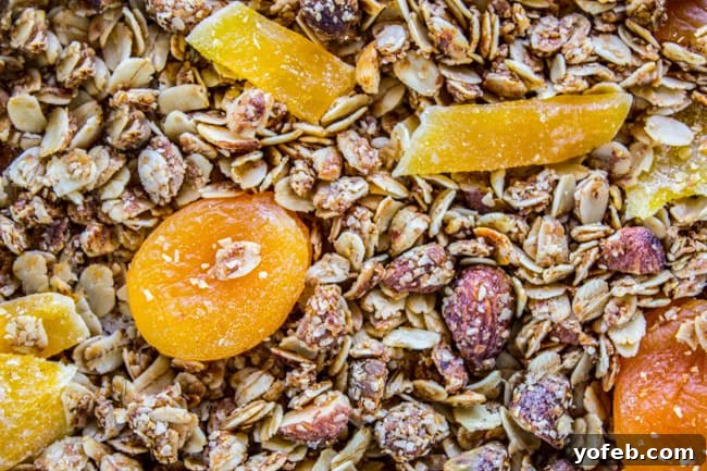 Sunshine Mango Coconut Granola 12 Tropical Coconut Mango Granola from The Food Charlatan