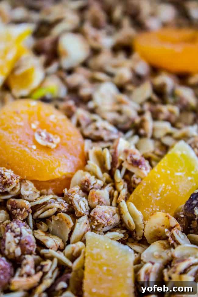 Sunshine Mango Coconut Granola 10 Baked tropical coconut mango granola with dried fruit added