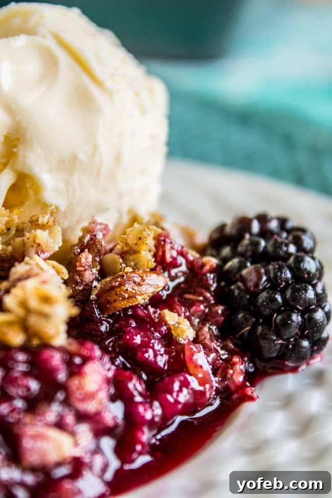 Easy Blackberry Cobbler Recipe with Oat Crunch Topping from The Food Charlatan. This to-die-for Blackberry Cobbler recipe is so easy it's ridiculous! The crunchy oat topping comes together super fast, and is the perfect compliment to summer's finest offering: blackberries. #cobbler #blackberries #easy #oats #dessert #summerrecipes #homemade #summer #crisp Close-up view of a blackberry cobbler served with vanilla ice cream and garnished with fresh blackberries in a clear glass dish.