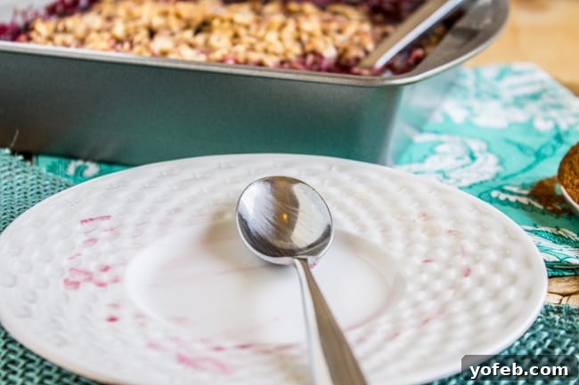 No-Fuss Blackberry Cobbler with Golden Oat Crumble 2 Empty plate with streaks of melted ice cream and berry juice, suggesting a delicious cobbler has just been consumed.