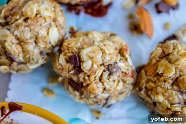 Easy No Bake Peanut Butter Oatmeal Energy Balls 11 No Bake Peanut Butter Oatmeal Energy Bites from The Food Charlatan
