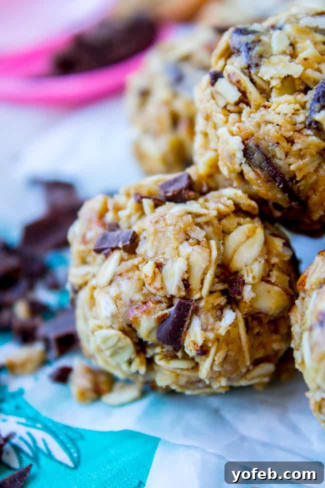 Easy No Bake Peanut Butter Oatmeal Energy Balls 2 No Bake Peanut Butter Oatmeal Energy Bites from The Food Charlatan