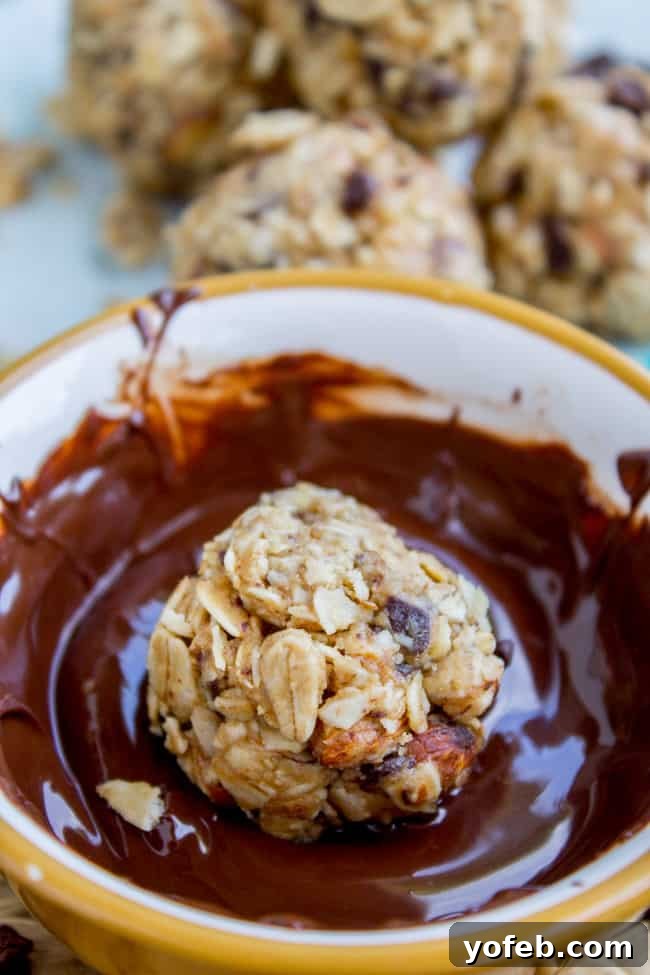 Easy No Bake Peanut Butter Oatmeal Energy Balls 7 No Bake Peanut Butter Oatmeal Energy Bites from The Food Charlatan