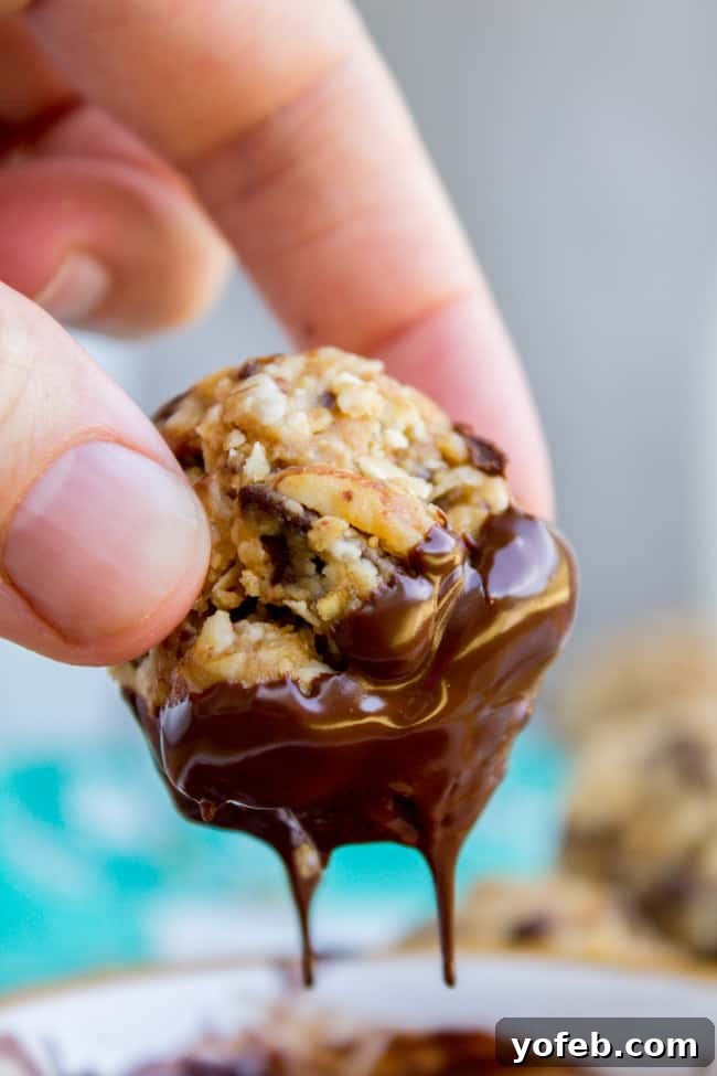 Easy No Bake Peanut Butter Oatmeal Energy Balls 8 No Bake Peanut Butter Oatmeal Energy Bites from The Food Charlatan