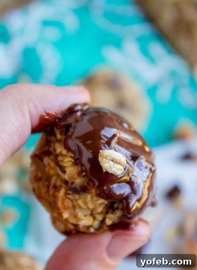 Easy No Bake Peanut Butter Oatmeal Energy Balls 9 No Bake Peanut Butter Oatmeal Energy Bites from The Food Charlatan