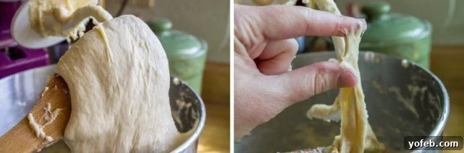 Aunt Shirley's Signature Dinner Rolls 10 Illustrates the ideal sticky consistency of kneaded dinner roll dough, pulling away from the bowl but still soft.
