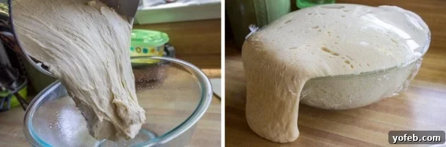 Aunt Shirley's Signature Dinner Rolls 11 Proofed dinner roll dough that has risen significantly, spilling over the edges of its mixing bowl.