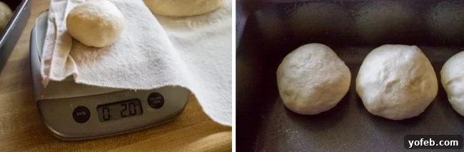 Aunt Shirley's Signature Dinner Rolls 13 A comparison of two dough portions, both 2 ounces, showing how quickly one has begun to puff up, demonstrating rapid rise.