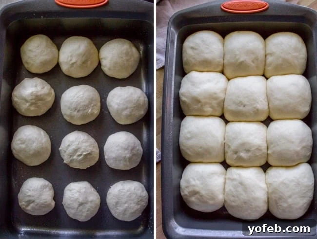 Aunt Shirley's Signature Dinner Rolls 14 One dozen shaped dinner rolls arranged closely in a 9x13 inch pan, ready for their second rise.
