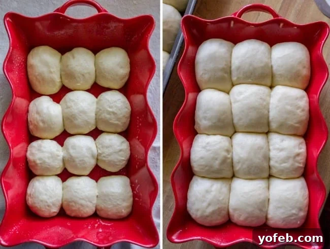 Aunt Shirley's Signature Dinner Rolls 15 Beautifully proofed dinner rolls in a red casserole dish, perfectly doubled in size and ready for baking.