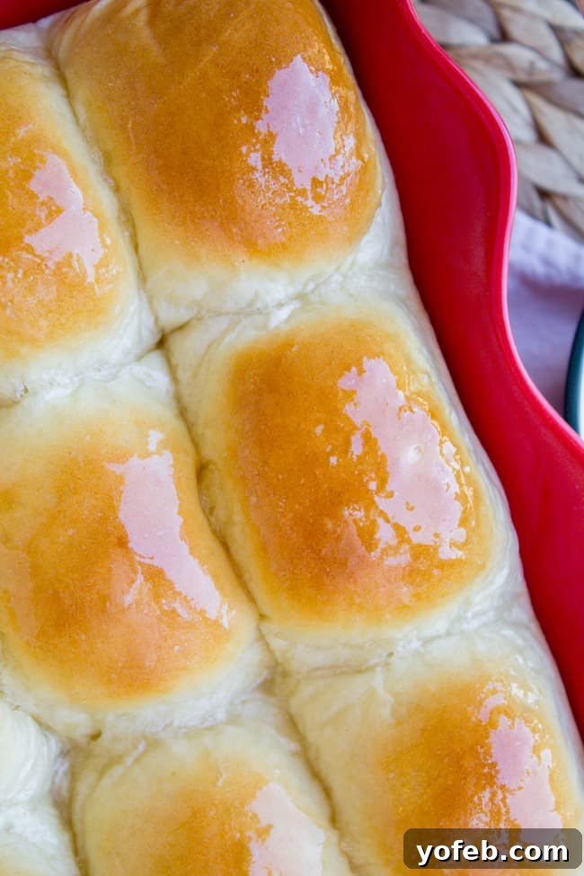 Aunt Shirley's Signature Dinner Rolls 5 An overhead shot showcasing a pan of glistening, buttery homemade dinner rolls, ready to be served.