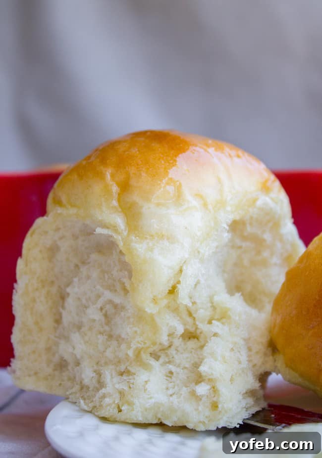 Aunt Shirley's Signature Dinner Rolls 6 A close-up view of a perfectly baked, fluffy homemade dinner roll, showcasing its tender, golden crust.