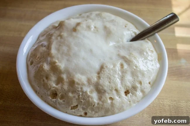 Aunt Shirley's Signature Dinner Rolls 9 Active dry yeast blooming in warm water with a touch of sugar, creating a frothy, foamy mixture.