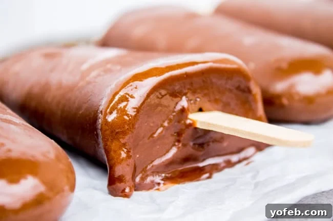 Dreamy Three-Ingredient Fudge Pops 12 3 Ingredient Fudge Pops from The Food Charlatan