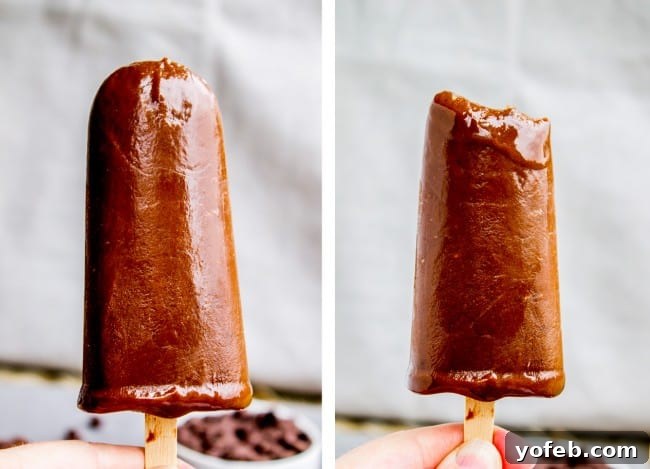 Dreamy Three-Ingredient Fudge Pops 5 Closeup of 3-Ingredient Fudge Pops - Rich chocolate perfection