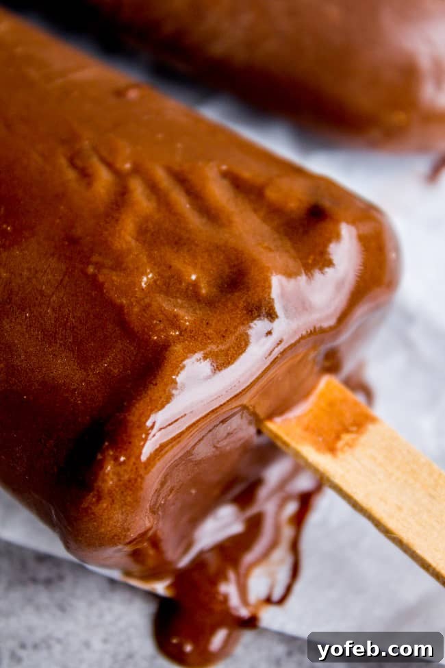 Dreamy Three-Ingredient Fudge Pops 7 Serving 3-Ingredient Fudge Pops - A delightful and easy frozen dessert