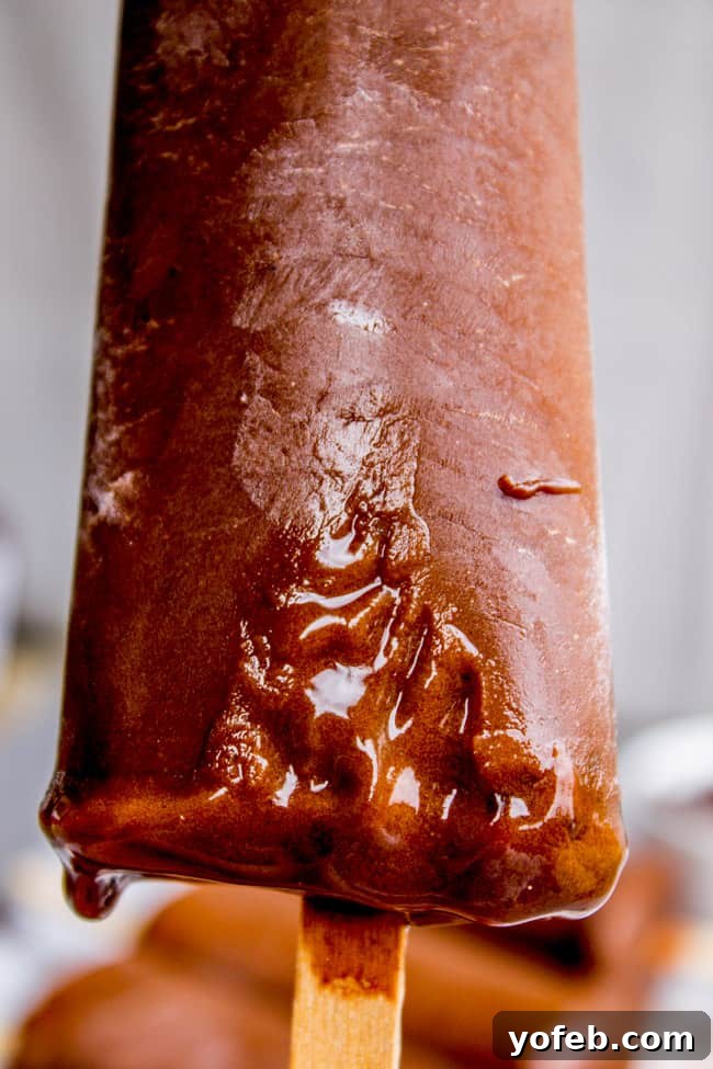 Dreamy Three-Ingredient Fudge Pops 10 Frozen 3-Ingredient Fudge Pops ready to enjoy - A perfect treat for any occasion
