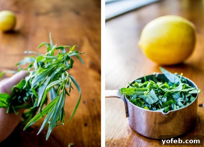 Bright Lemon Tarragon Grilled Chicken 6 Fresh tarragon leaves, an essential herb for this grilled chicken recipe.