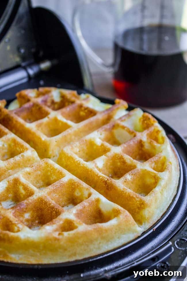 Perfectly Cooked Waffle Fresh from the Iron A freshly cooked, golden-brown crispy waffle being carefully removed from a waffle iron.