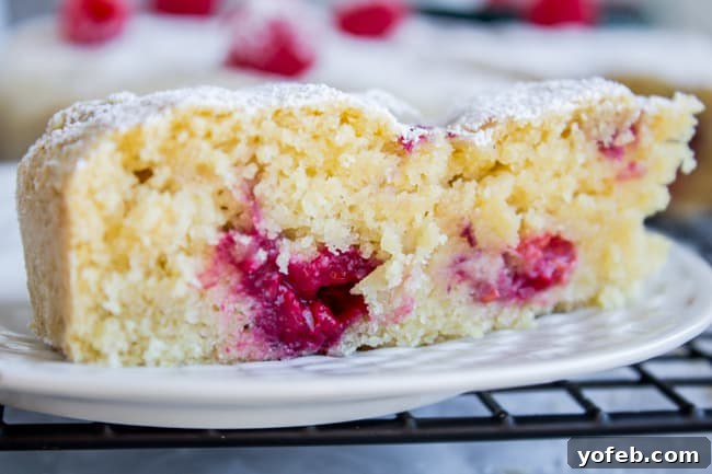 Luscious Vegan Raspberry Buttermilk Cake 11 Delicious slices of Vegan Raspberry Buttermilk Cake on a serving plate, ready to be enjoyed.