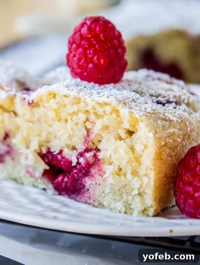 Luscious Vegan Raspberry Buttermilk Cake 13 Raspberry "Buttermilk" Cake (Vegan!) from The Food Charlatan