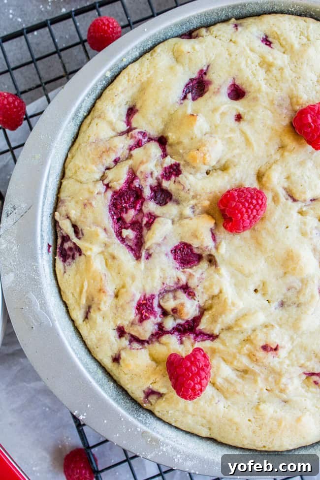 Luscious Vegan Raspberry Buttermilk Cake 2 Juicy Raspberry "Buttermilk" Cake (Vegan & Gluten-Free) with a light dusting of powdered sugar, from The Food Charlatan