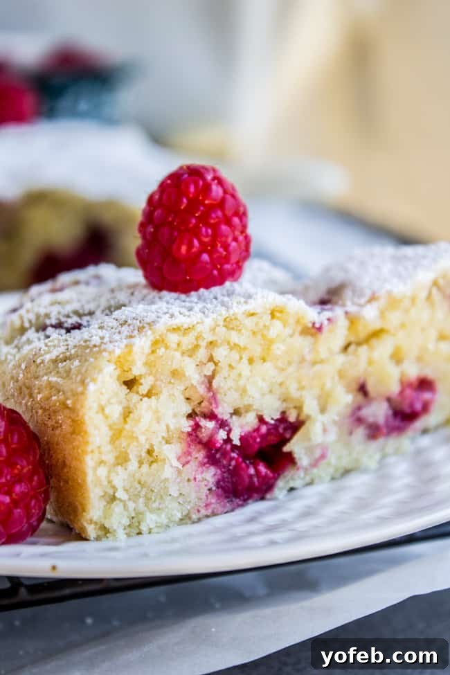 Luscious Vegan Raspberry Buttermilk Cake 3 Close-up of a slice of Raspberry "Buttermilk" Cake, showing its moist texture and fresh raspberries, ideal for a vegan and gluten-free dessert.