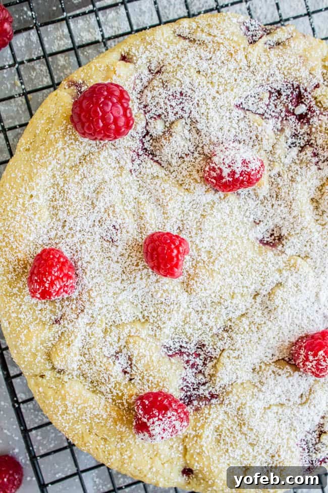 Luscious Vegan Raspberry Buttermilk Cake 6 A close-up of the delightful Raspberry "Buttermilk" Cake, adorned with fresh raspberries and a dusting of powdered sugar.