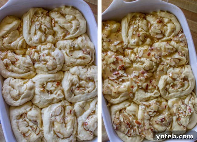 Golden Hour Almond Swirls 8 Almond sweet rolls rising in a baking pan with honey almond topping before baking.