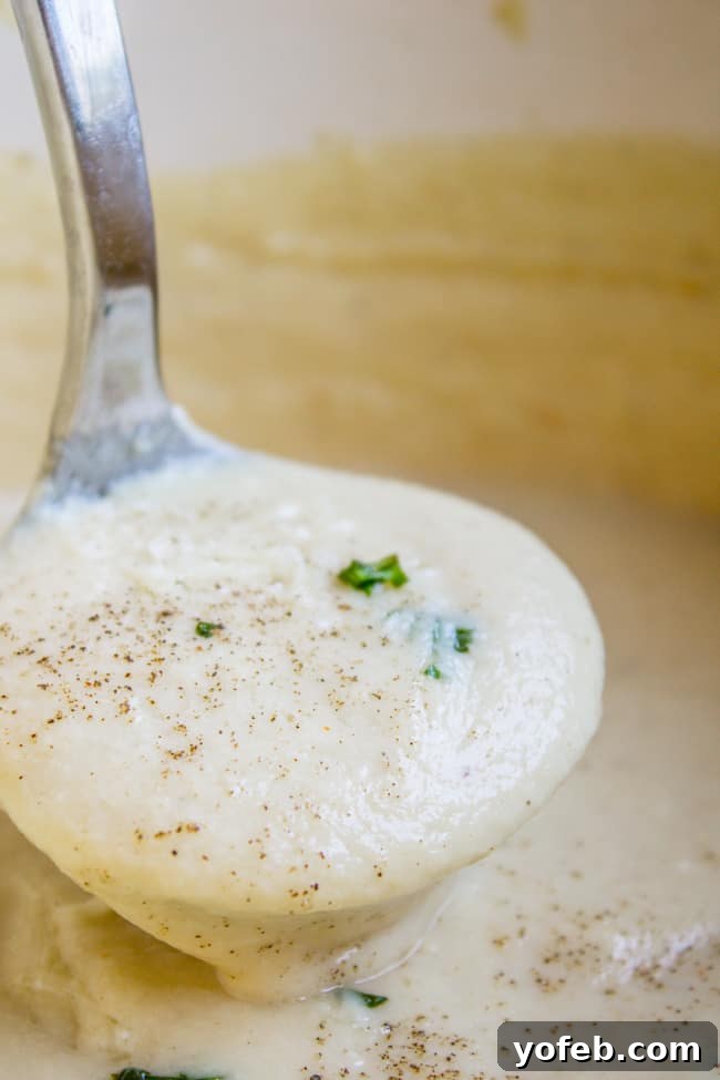 Silky Cauliflower Alfredo 7 Creamy Caulifredo Sauce (Cauliflower Alfredo Sauce) from The Food Charlatan