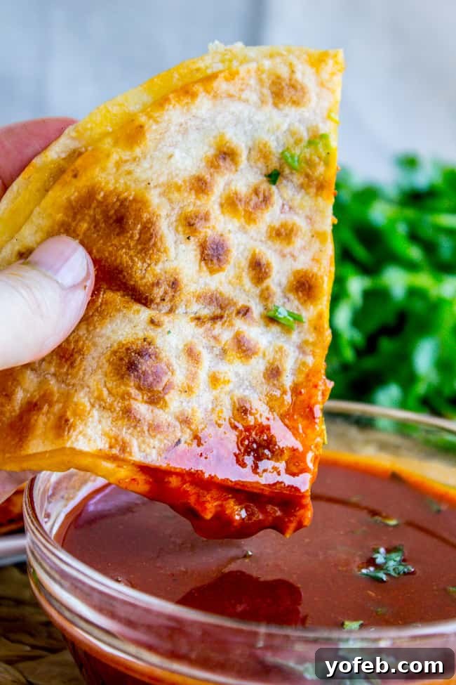Quick and Easy Enchilada Chicken Quesadillas for a Fast Meal Delicious Enchilada Chicken Quesadillas