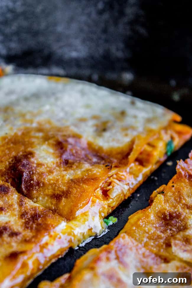 Rotisserie Chicken Enchilada Quesadillas Easy Chicken Quesadilla Recipe with Enchilada Sauce