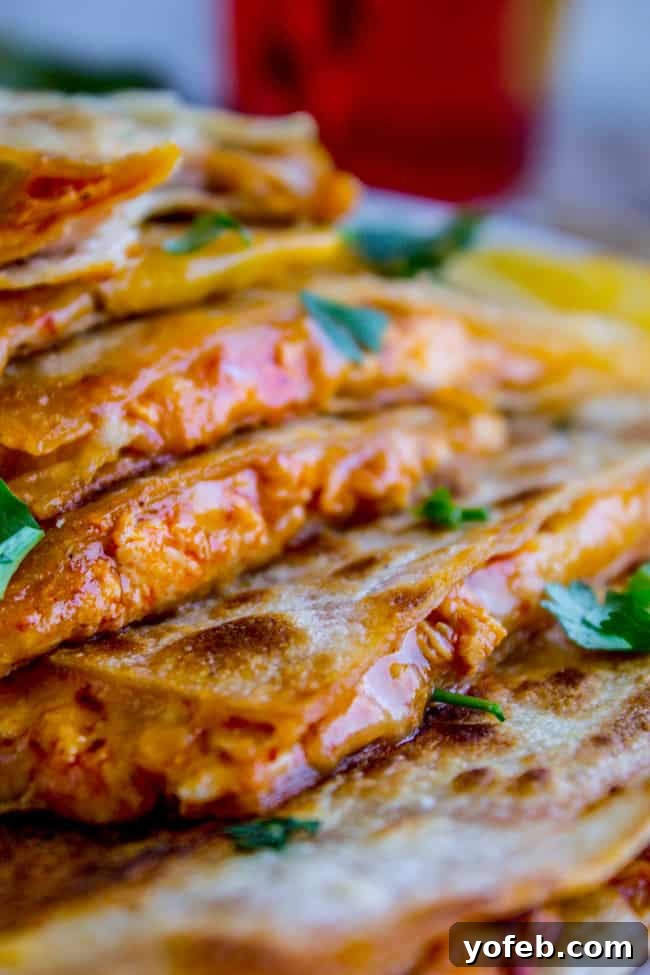 Fast and Cheesy Enchilada Quesadillas Cheesy Chicken Enchilada Quesadillas