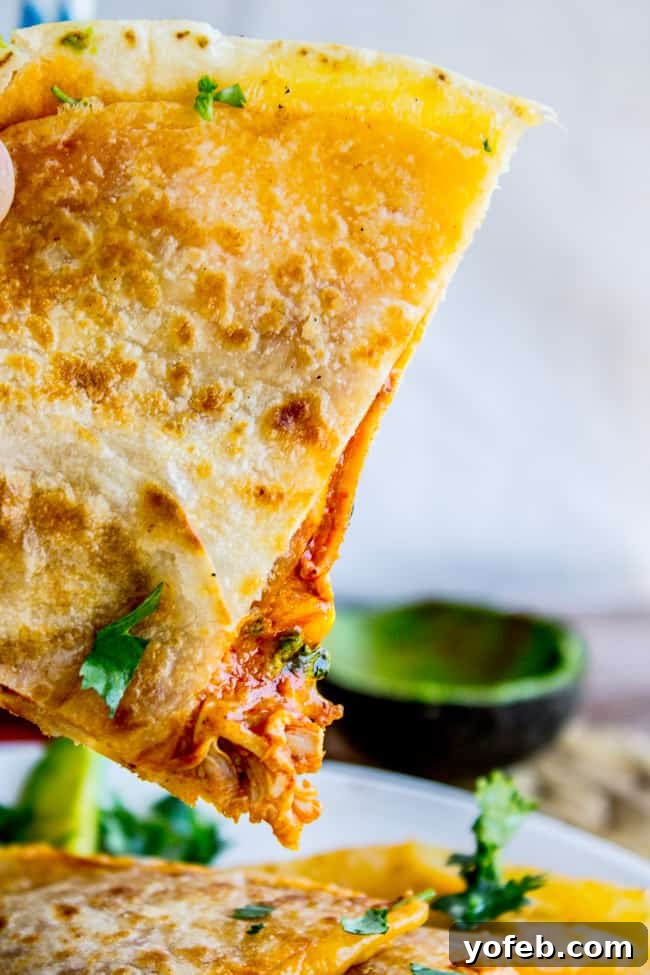 Golden and Crispy Chicken Quesadillas Cheesy Chicken Quesadillas cooking