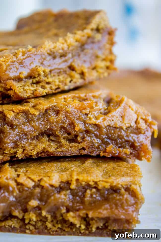 Decadent Pumpkin Caramel Swirl Bars 2 Fudgy Pumpkin Caramel Swirl Bars from The Food Charlatan - close-up view of a perfectly baked bar with caramel swirl