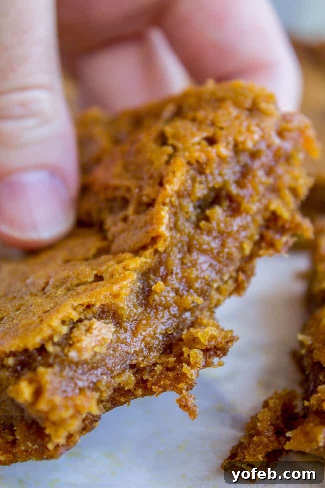 Decadent Pumpkin Caramel Swirl Bars 3 Fudgy Pumpkin Caramel Swirl Bars on a wire rack cooling
