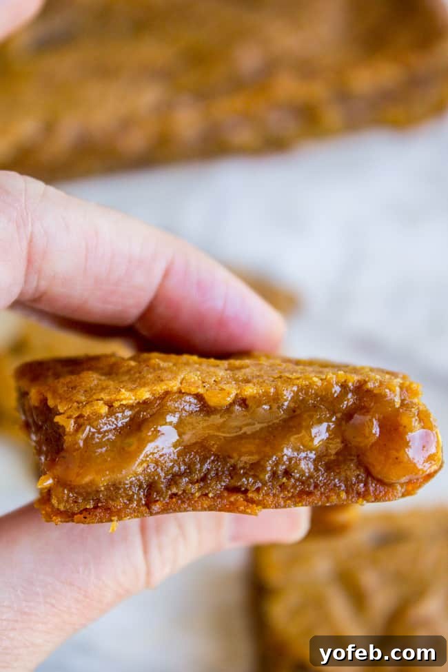 Decadent Pumpkin Caramel Swirl Bars 4 Close-up of the gooey caramel layer within a Pumpkin Caramel Swirl Bar